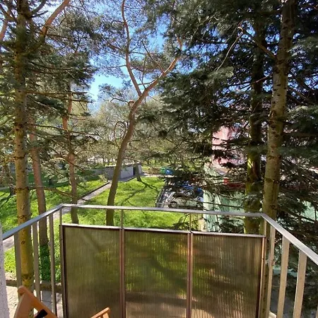 Apartament Sunny *